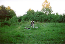 Dominikowo Sommer 2003