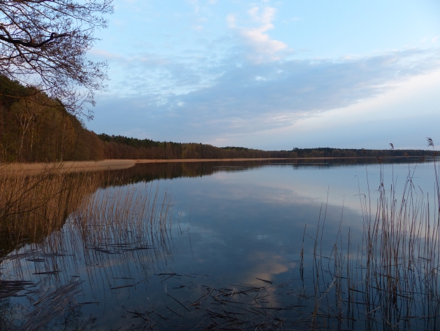 Jezioro Dominikowskie / Mienkener See, 18. April 2014